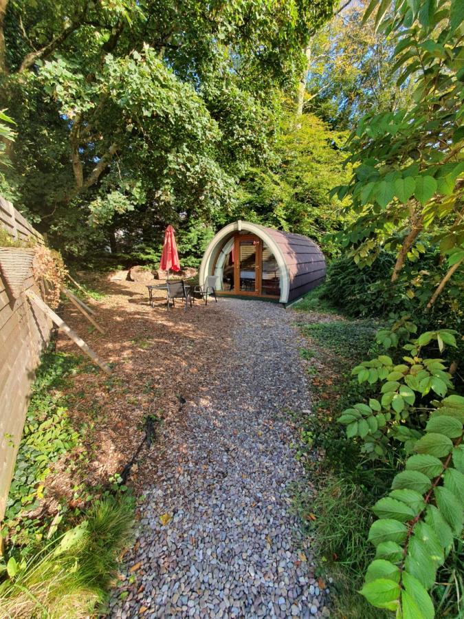 Priory Glamping Pods And Guest Accommodation คิลลาร์นีย์ ภายนอก รูปภาพ
