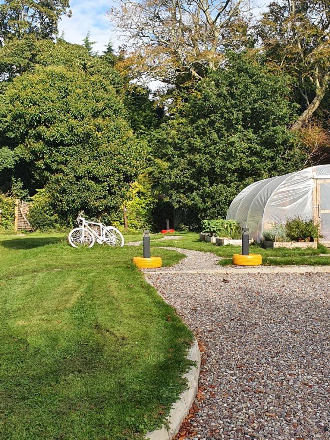 Priory Glamping Pods And Guest Accommodation คิลลาร์นีย์ ภายนอก รูปภาพ