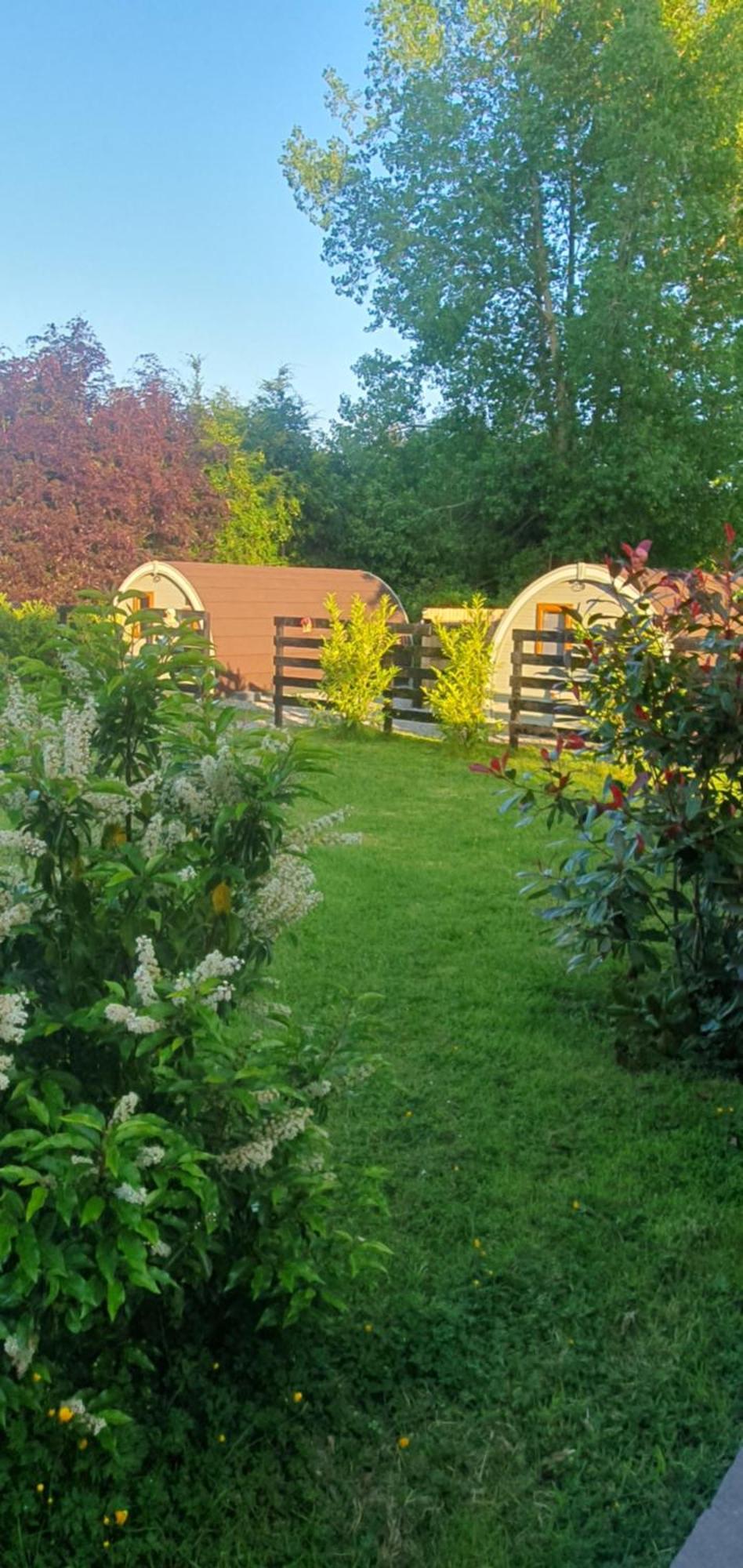 Priory Glamping Pods And Guest Accommodation คิลลาร์นีย์ ภายนอก รูปภาพ