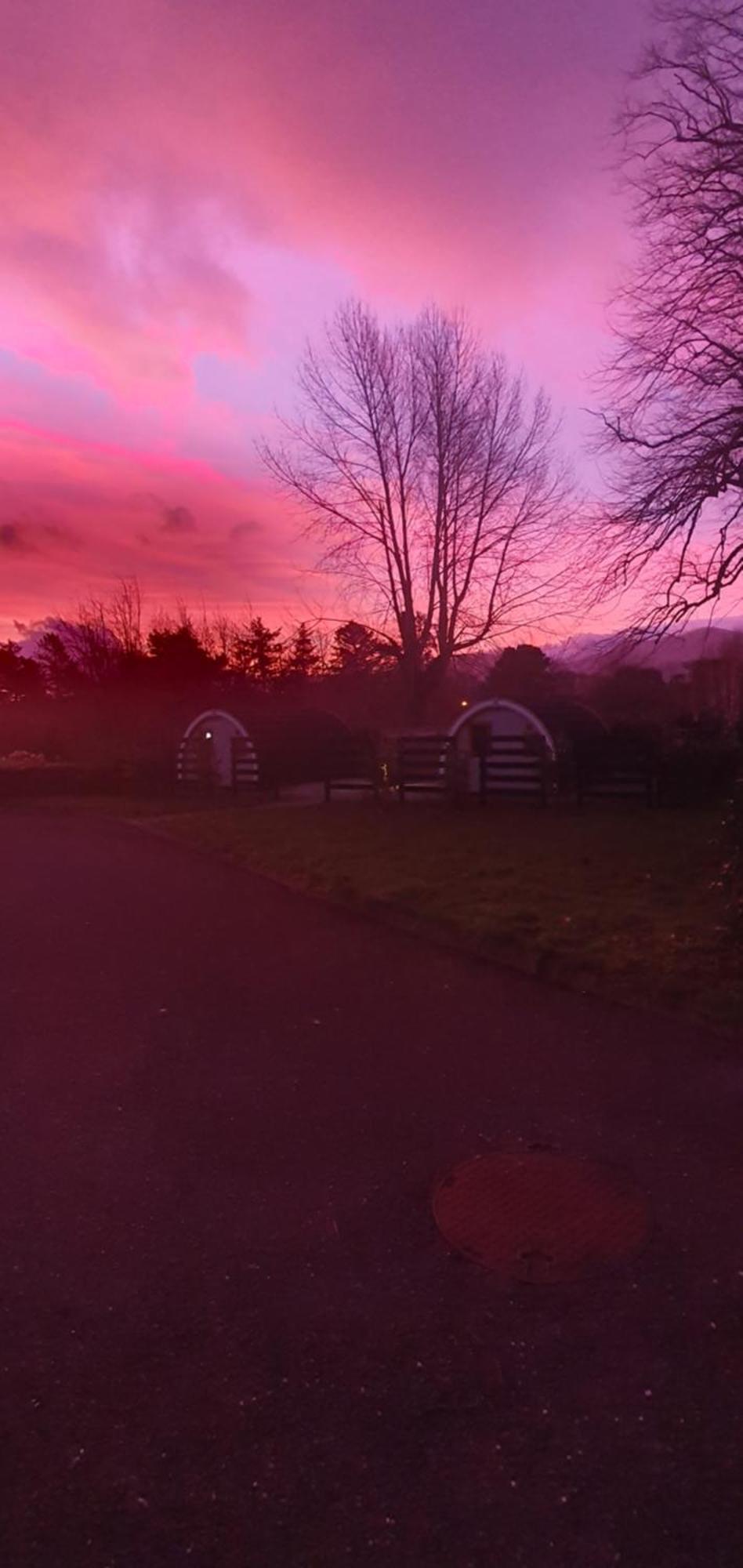 Priory Glamping Pods And Guest Accommodation คิลลาร์นีย์ ภายนอก รูปภาพ
