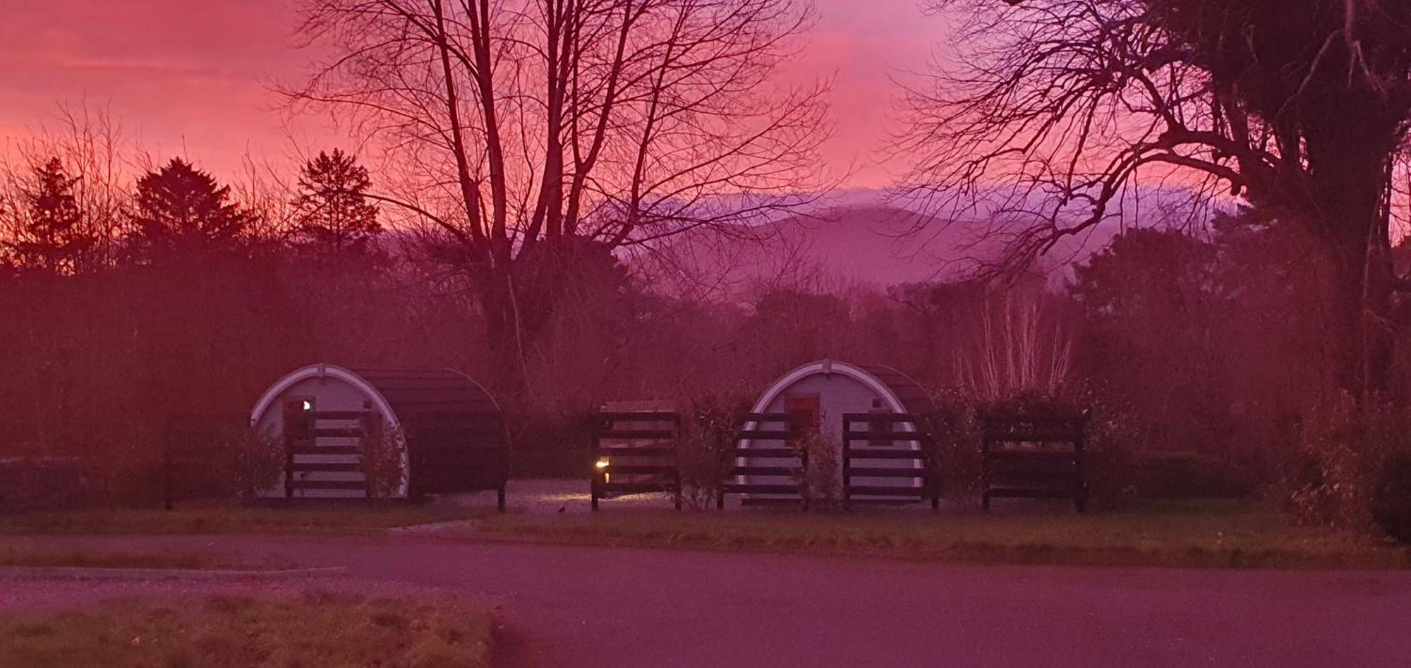 Priory Glamping Pods And Guest Accommodation คิลลาร์นีย์ ภายนอก รูปภาพ