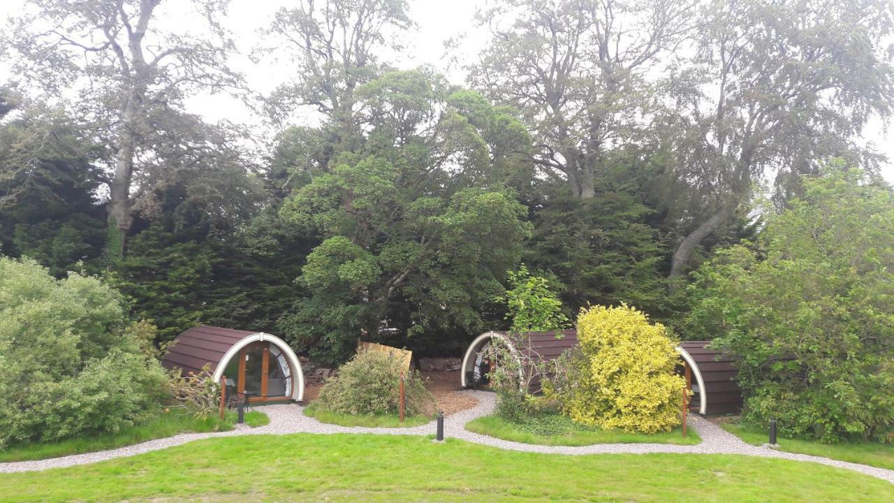 Priory Glamping Pods And Guest Accommodation คิลลาร์นีย์ ภายนอก รูปภาพ