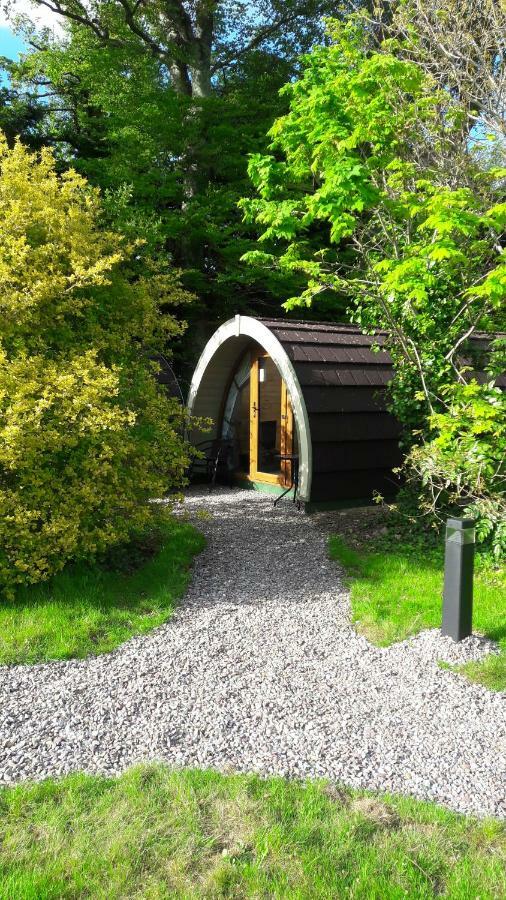 Priory Glamping Pods And Guest Accommodation คิลลาร์นีย์ ภายนอก รูปภาพ