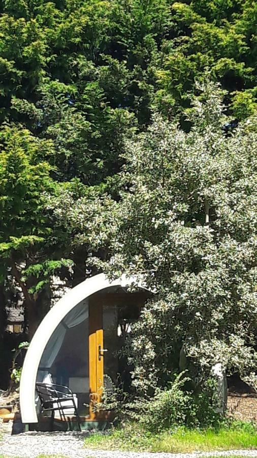 Priory Glamping Pods And Guest Accommodation คิลลาร์นีย์ ภายนอก รูปภาพ