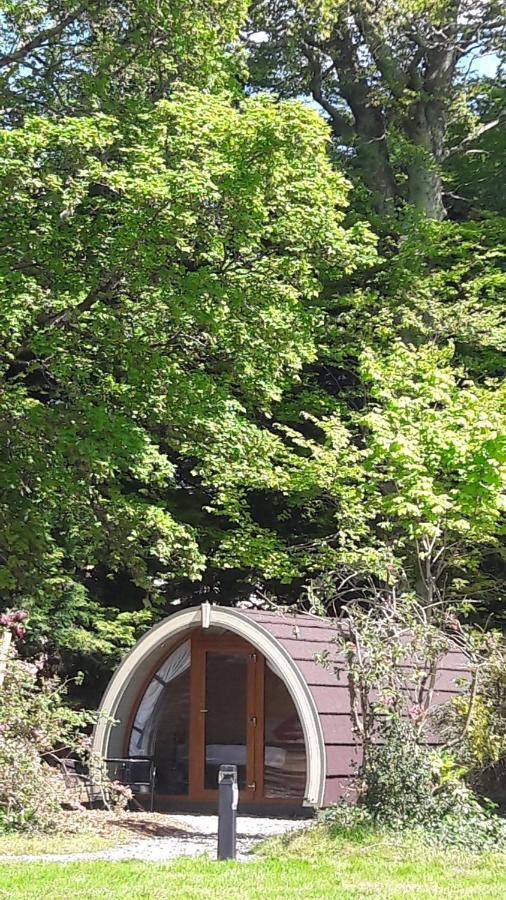 Priory Glamping Pods And Guest Accommodation คิลลาร์นีย์ ภายนอก รูปภาพ