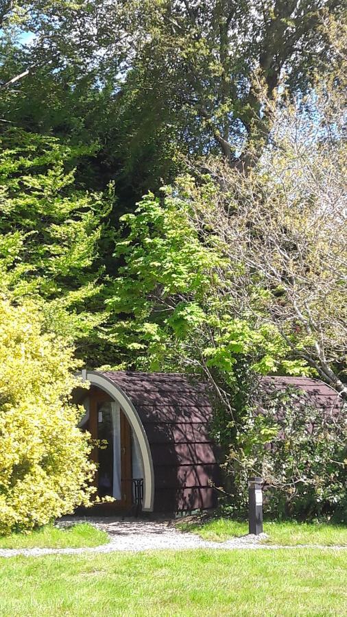 Priory Glamping Pods And Guest Accommodation คิลลาร์นีย์ ภายนอก รูปภาพ