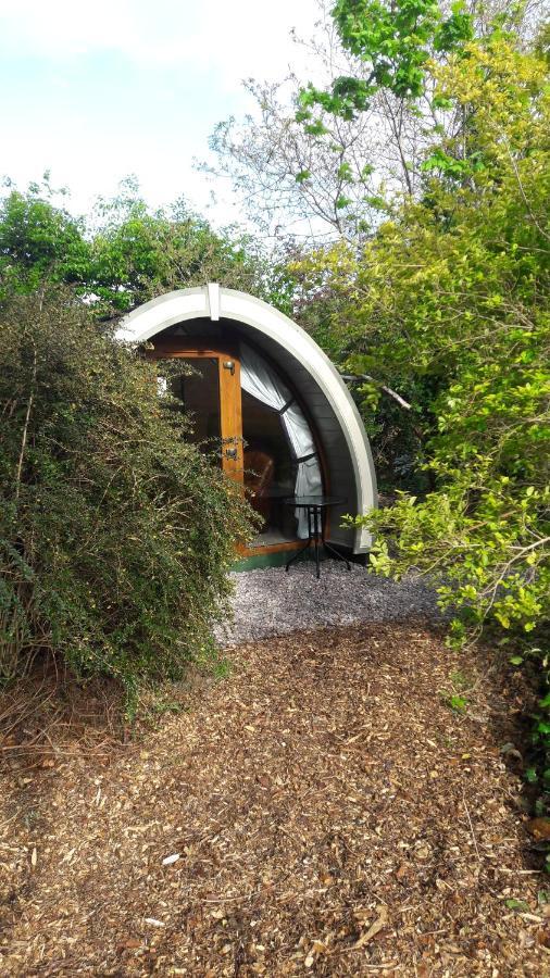 Priory Glamping Pods And Guest Accommodation คิลลาร์นีย์ ภายนอก รูปภาพ