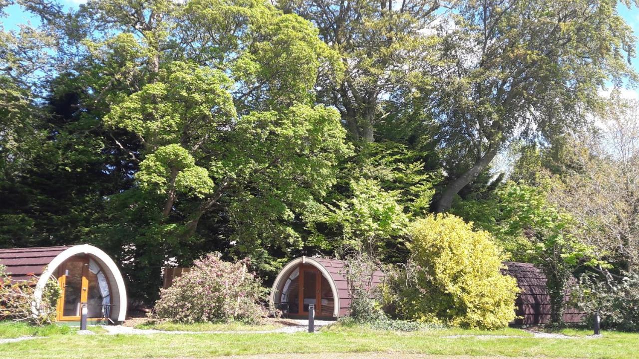 Priory Glamping Pods And Guest Accommodation คิลลาร์นีย์ ภายนอก รูปภาพ